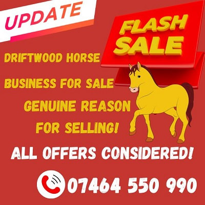 driftwood horse business for sale